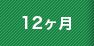 12ヶ月