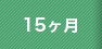 15ヶ月