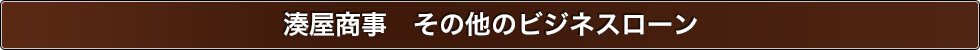 湊屋商事　その他のビジネスローン